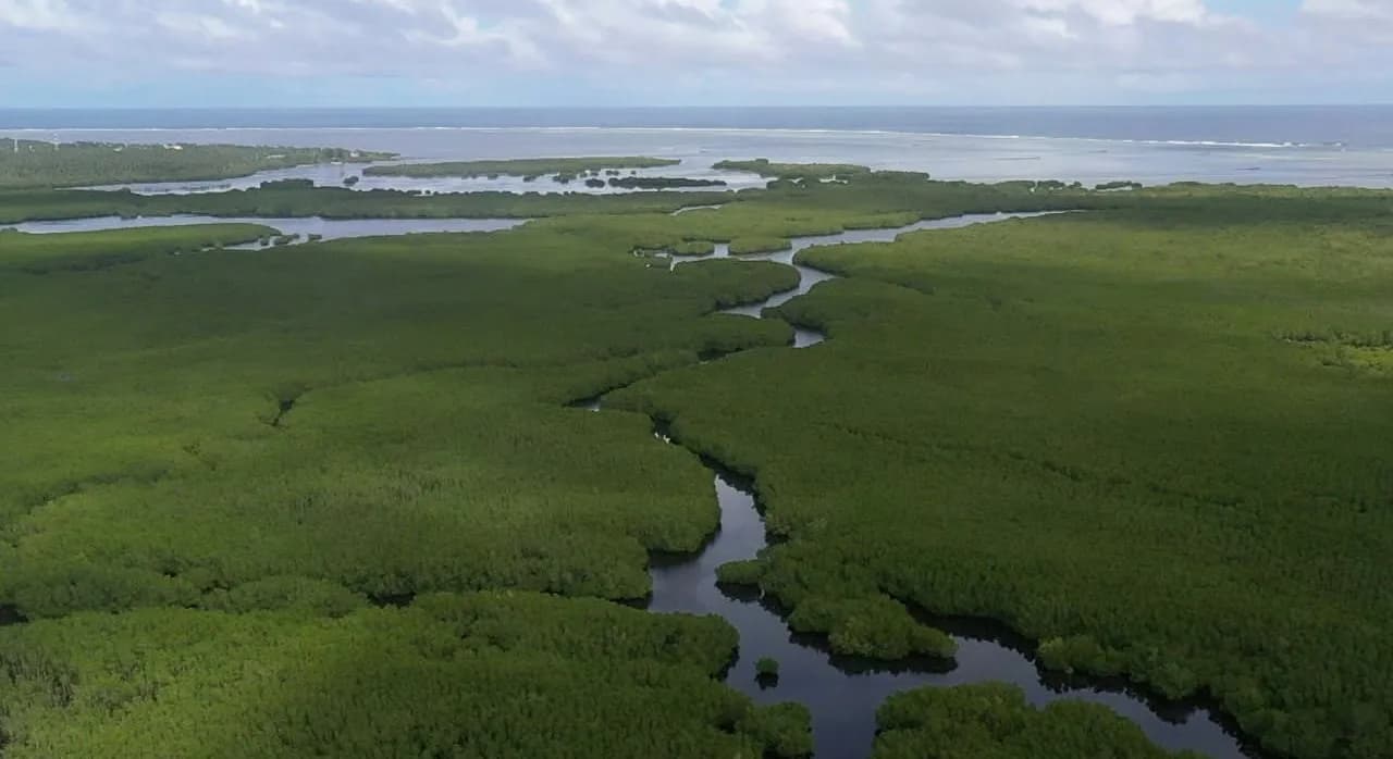PRIETO DIAZ MANGROVE ECO PARK